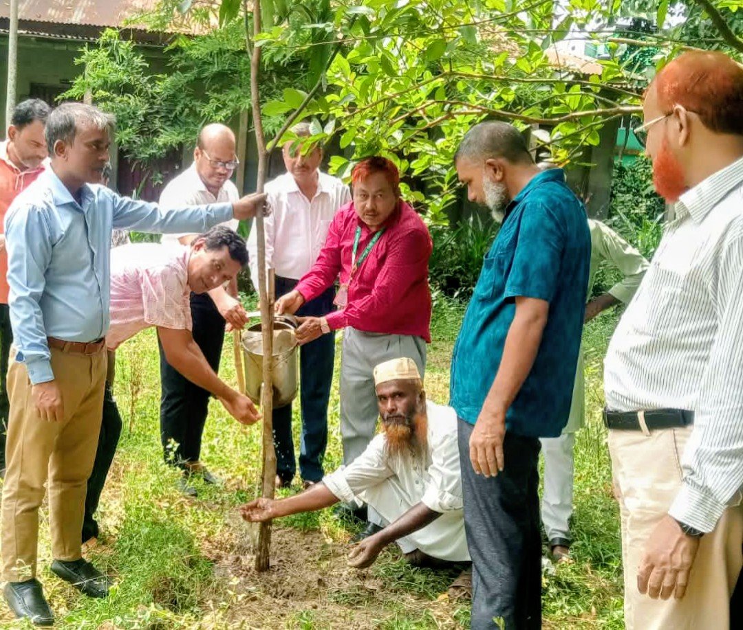 ফুলছড়িতে শিক্ষাপ্রতিষ্ঠানে দুই শতাধিক ফলজ বৃক্ষ রোপণ, সবুজায়নের বার্তা বিশ্বাস ফাউন্ডেশনের