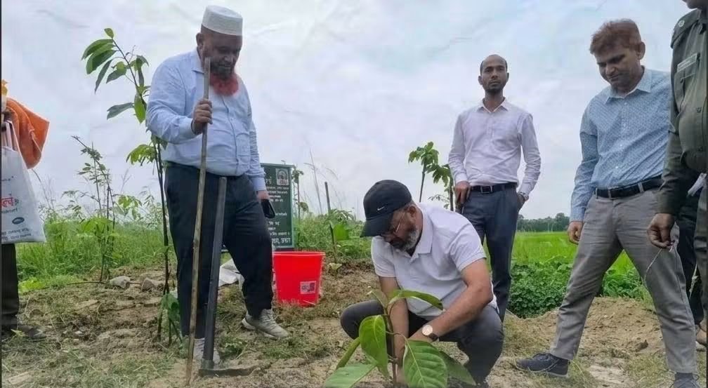 নওগাঁয় ২০ কিলোমিটার স্ট্রিপ বাগানে ২০ হাজার চারা রোপণ