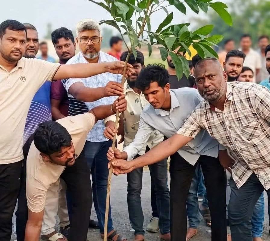 রাজশাহীর কাশিয়াডাঙ্গায় এক ঘণ্টায় ৬০০ গাছের চারা রোপণ করলেন সাইফ রহমান