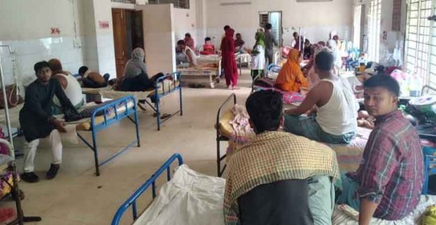 কোম্পানীগঞ্জে ডেঙ্গুর প্রকোপ উদ্বেগজনকভাবে বৃদ্ধি
