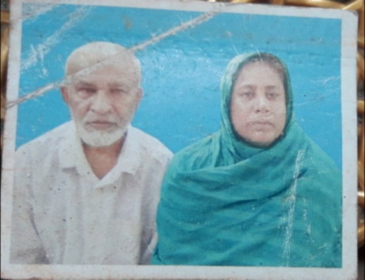 পলাশবাড়ীতে বিভিন্ন রাস্তায় প্রায় ৩০ কিঃ মিঃ রাস্তায় বৃক্ষ রোপণ করে অমর হয়ে আছেন আব্দুল হাকিম স্যার
