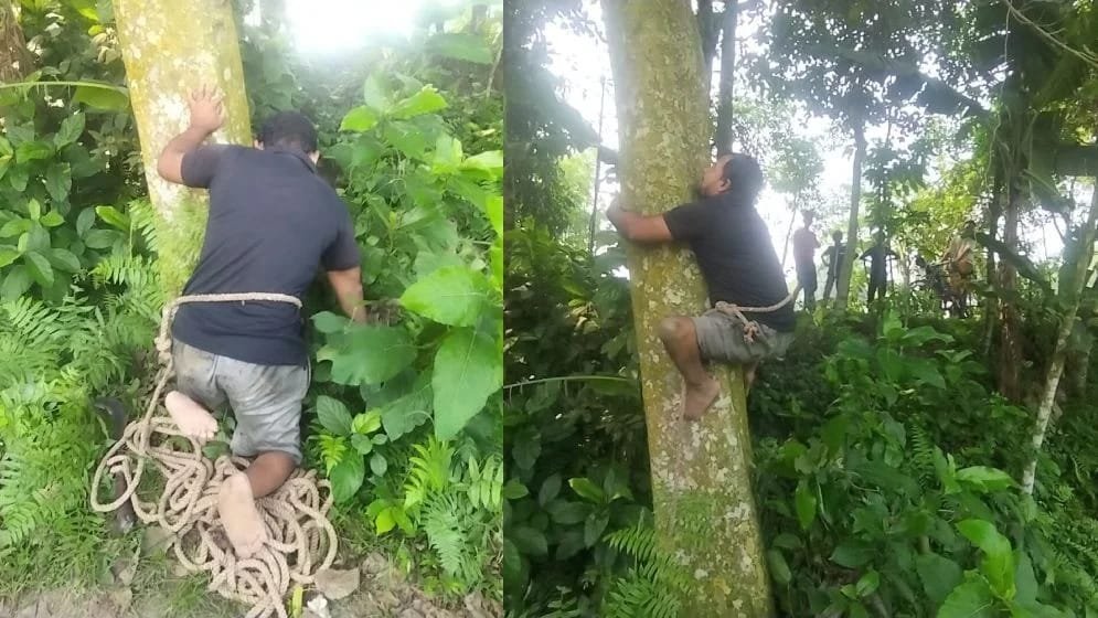 ৩০ বছর ধরে গাছ ছাঁটাই করে সংসার চালাচ্ছেন প্রতিবন্ধী কামাল
